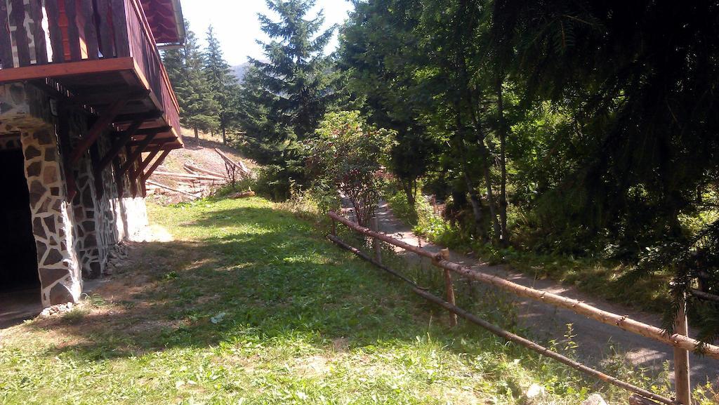 Chata Alia Vyšná Boca Dış mekan fotoğraf